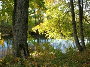 Atspindys. Loretos Skirbutienės nuotrauka.