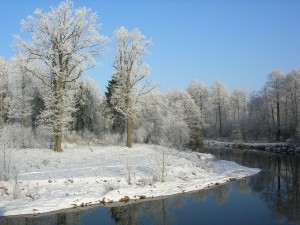 Šyšos kilpa. Loretos Skirbutienės nuotrauka.