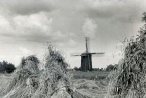 Malūnas.